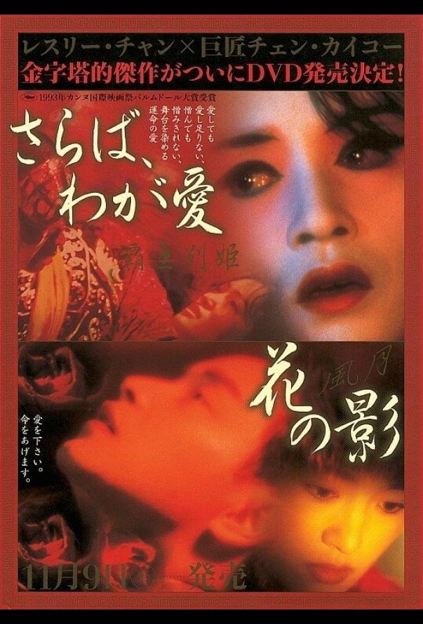 Постер к Прощай, моя наложница (1992)